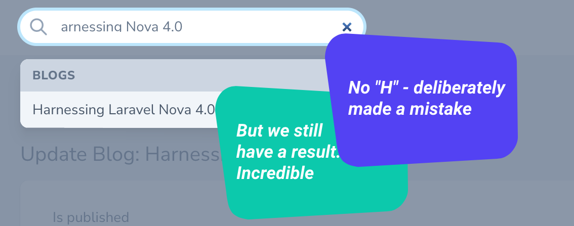 laravel-nova-4.0-spelling-search-63f4a5a03fc4c.png